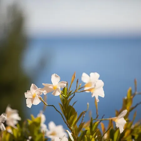 La Sterlizia Di Santa Croce Resort Alassio