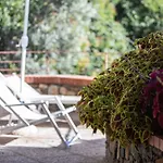 La Sterlizia Di Santa Croce 3*