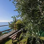 La Sterlizia Di Santa Croce Alassio